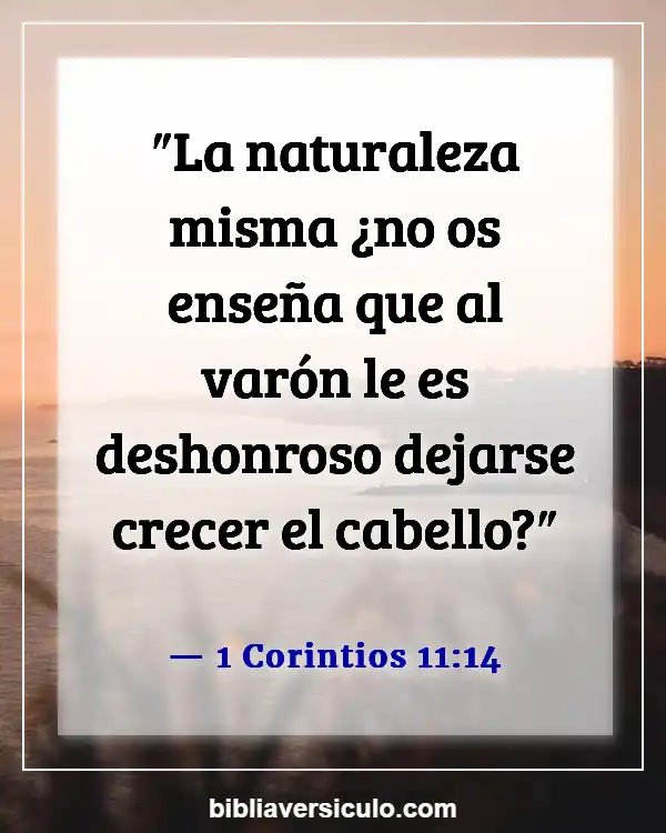 Versículos de la Biblia Sobre Barba (1 Corintios 11:14)