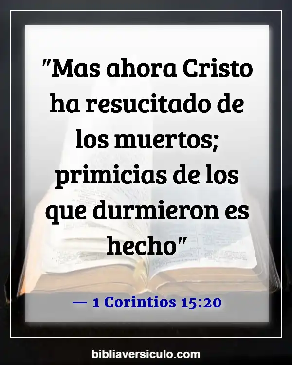 Versículos de la Biblia Sobre Resurrección y vida (1 Corintios 15:20)