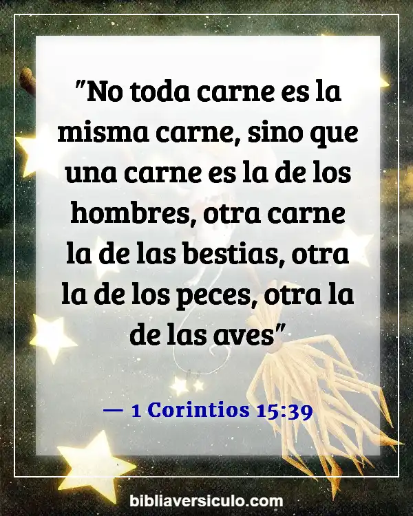 Versículos de la Biblia Sobre Aves (1 Corintios 15:39)