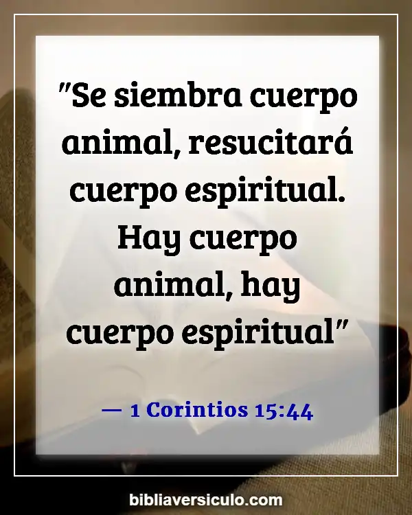 Versículos de la Biblia Sobre Cómo cuidar nuestro cuerpo (1 Corintios 15:44)