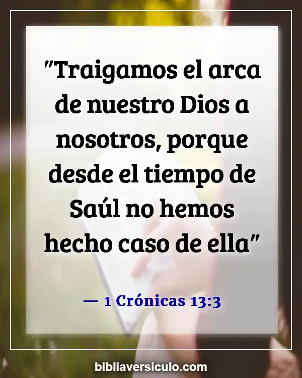 Versículos de la Biblia Sobre Arca de la Alianza (1 Crónicas 13:3)