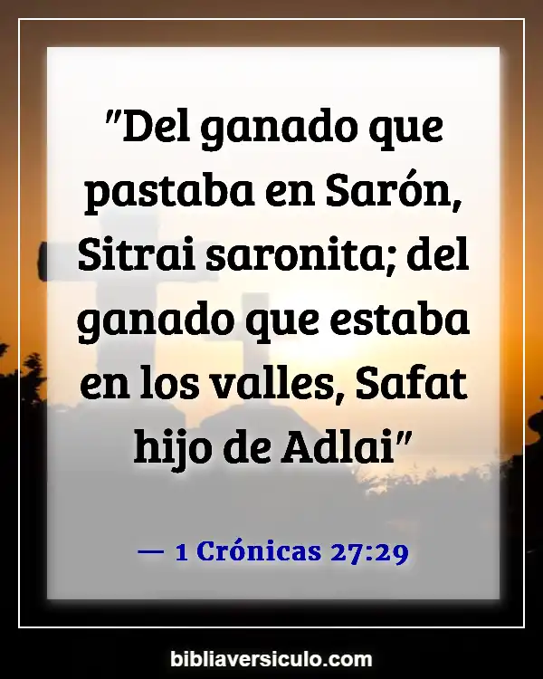 Versículos de la Biblia Sobre Flor de Sharon (1 Crónicas 27:29)
