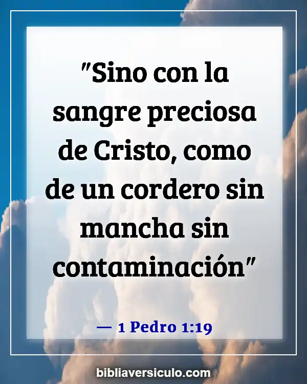 Versículos de la Biblia Sobre Hija de Jairo (1 Pedro 1:19)