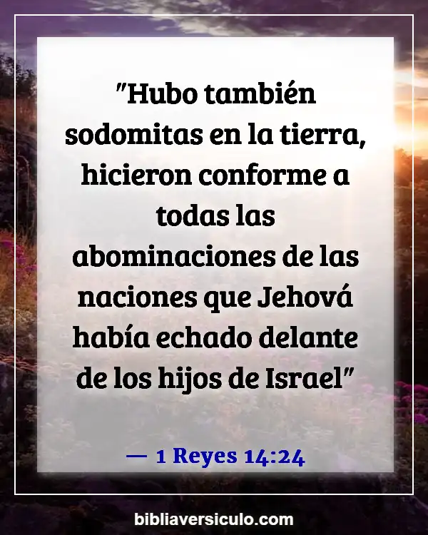 Versículos de la Biblia Sobre Homosexualidad (1 Reyes 14:24)