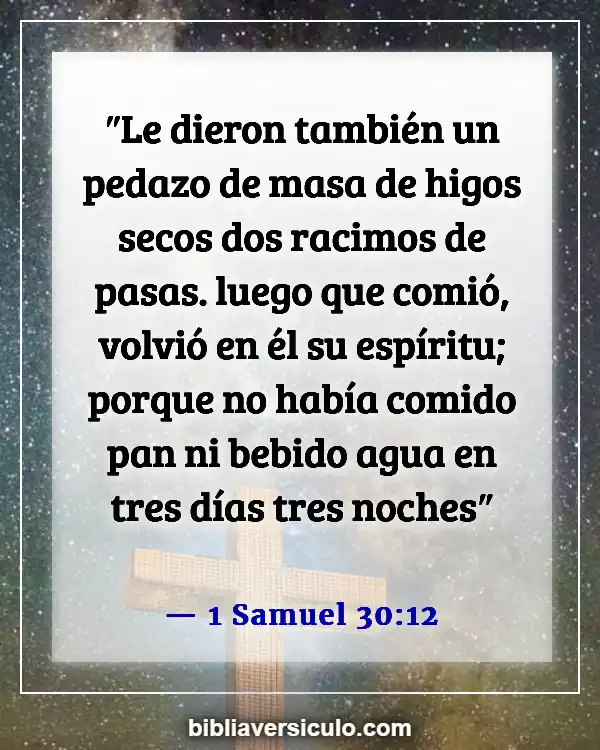 Versículos de la Biblia Sobre Borrachos (1 Samuel 30:12)