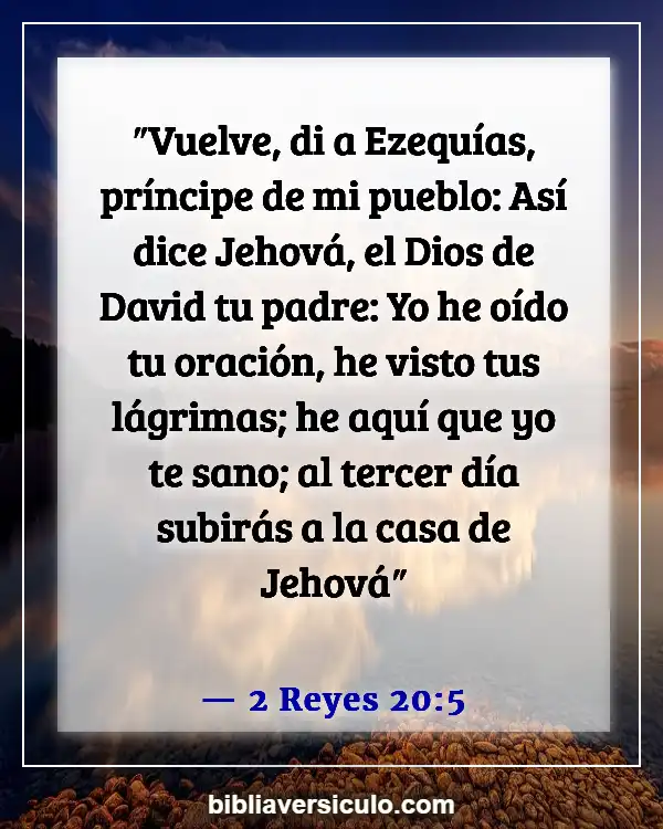 Versículos de la Biblia Sobre Medicina holistica (2 Reyes 20:5)