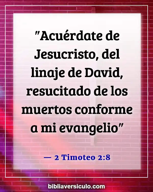Versículos de la Biblia Sobre Adaptabilidad (2 Timoteo 2:8)