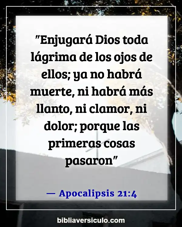 Versículos de la Biblia Sobre Seres queridos fallecidos (Apocalipsis 21:4)