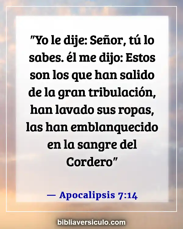 Versículos de la Biblia Sobre Persecucion (Apocalipsis 7:14)