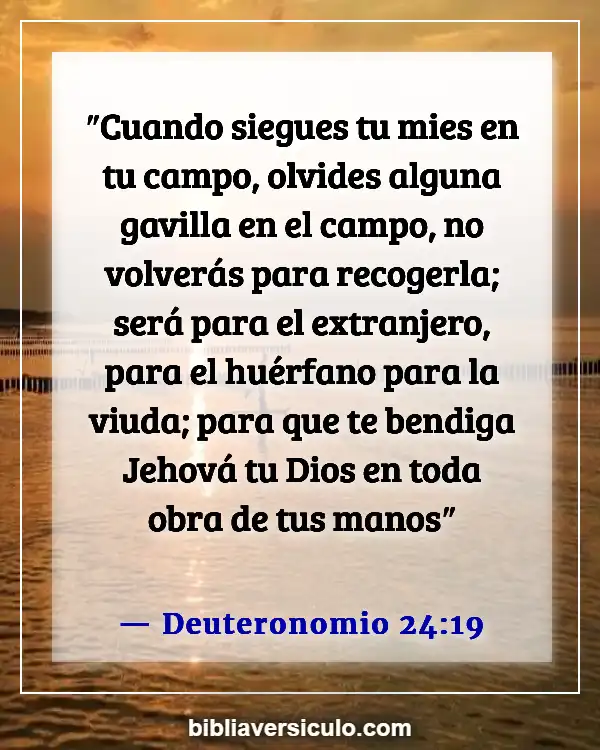 Versículos de la Biblia Sobre Alimentación (Deuteronomio 24:19)