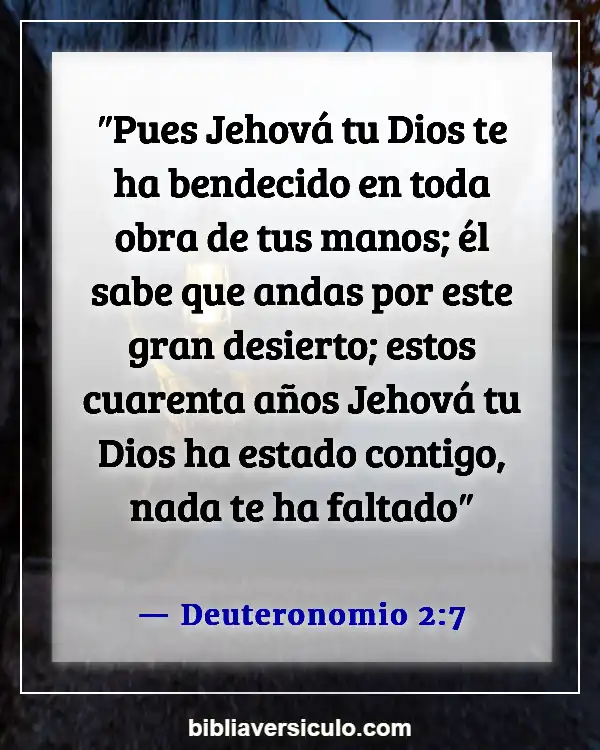 Versículos de la Biblia Sobre Ser exitoso (Deuteronomio 2:7)