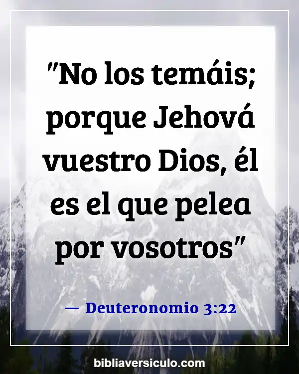 Versículos de la Biblia Sobre Miedo y ansiedad (Deuteronomio 3:22)