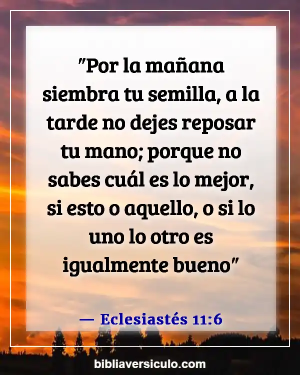 Versículos de la Biblia Sobre Emprendimiento (Eclesiastés 11:6)
