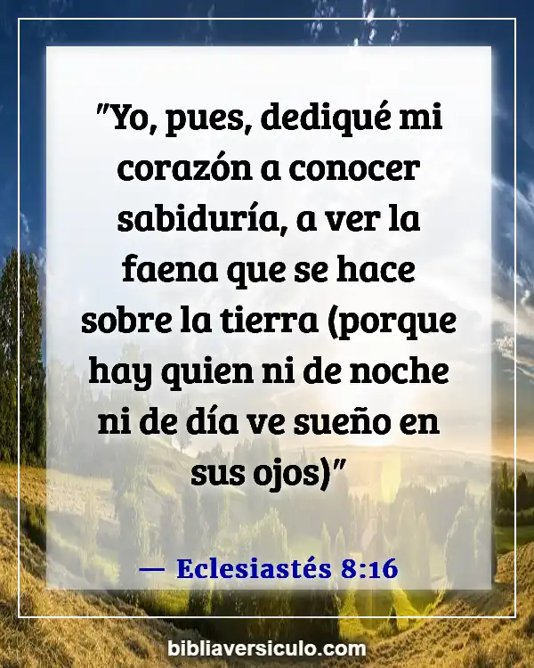 Versículos de la Biblia Sobre Dueños de negocios (Eclesiastés 8:16)