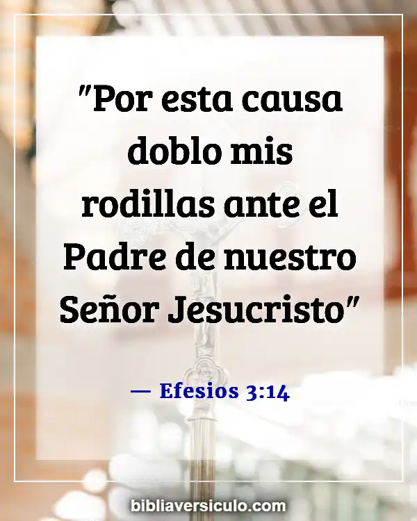 Versículos de la Biblia Sobre Familia dividida (Efesios 3:14)