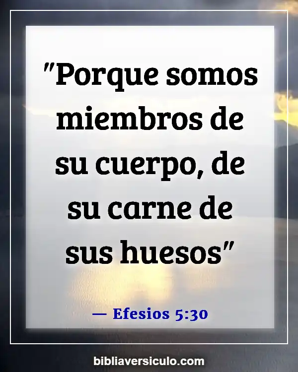 Versículos de la Biblia Sobre Membresía de la iglesia (Efesios 5:30)