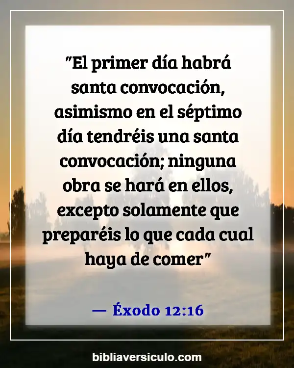 Versículos de la Biblia Sobre Servicios dominicales (Éxodo 12:16)