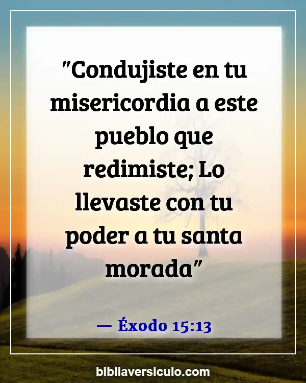 Versículos de la Biblia Sobre éxodo (Éxodo 15:13)