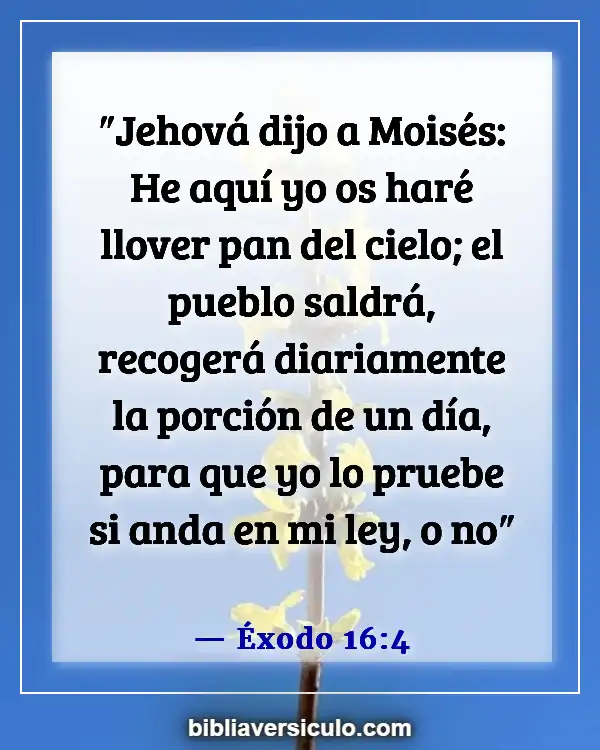 Versículos de la Biblia Sobre Sábado y Descanso (Éxodo 16:4)