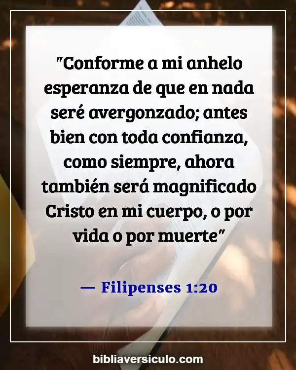Versículos de la Biblia Sobre Esperanza (Filipenses 1:20)