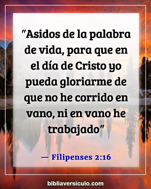 Versículos de la Biblia Sobre Esfuerzo (Filipenses 2:16)