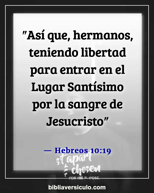 Versículos de la Biblia Sobre Velo (Hebreos 10:19)