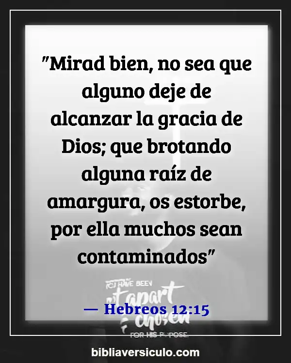 Versículos de la Biblia Sobre La gracia de Dios (Hebreos 12:15)