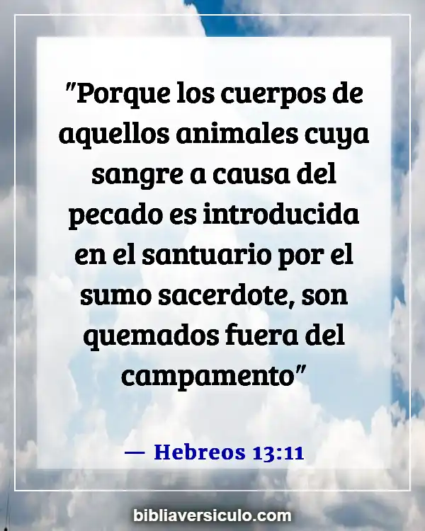 Versículos de la Biblia Sobre Deuda (Hebreos 13:11)