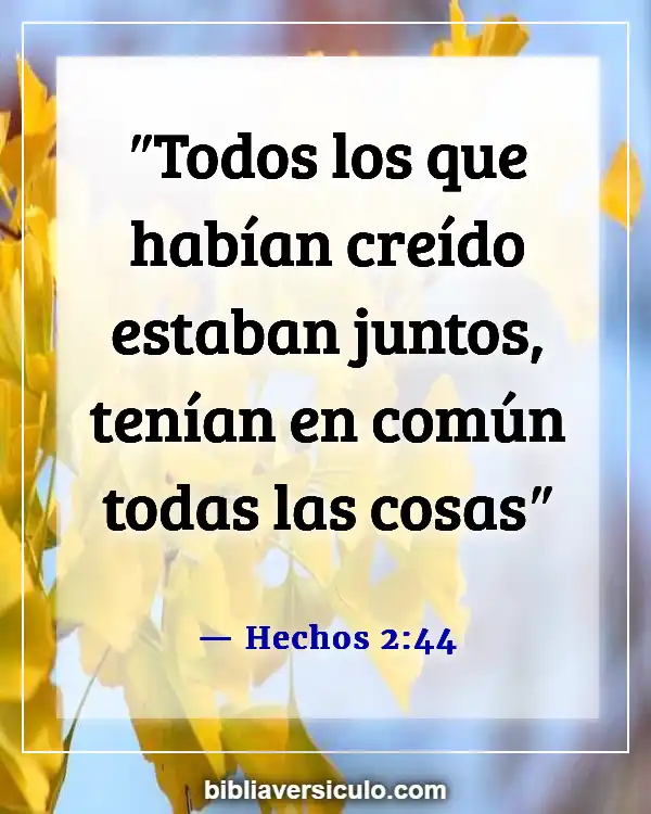 Versículos de la Biblia Sobre Importancia de la unidad y el compañerismo (Hechos 2:44)