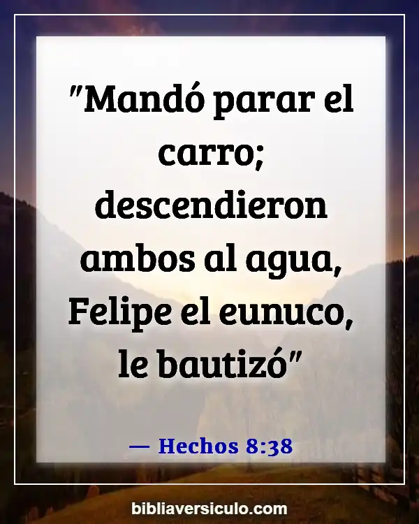 Versículos de la Biblia Sobre Bautizar bebes (Hechos 8:38)