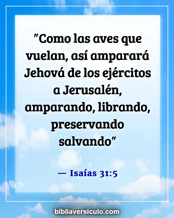Versículos de la Biblia Sobre Aves (Isaías 31:5)