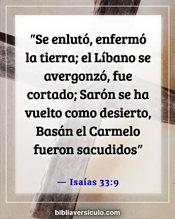 Versículos de la Biblia Sobre Flor de Sharon (Isaías 33:9)