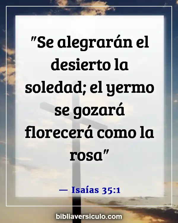 Versículos de la Biblia Sobre Reconocimiento en el cielo (Isaías 35:1)