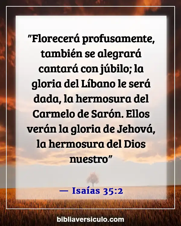 Versículos de la Biblia Sobre David bailó (Isaías 35:2)