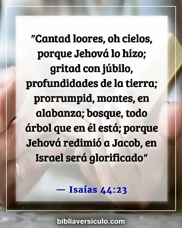 Versículos de la Biblia Sobre David bailó (Isaías 44:23)