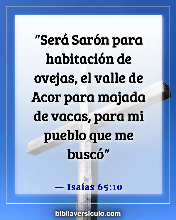 Versículos de la Biblia Sobre Flor de Sharon (Isaías 65:10)