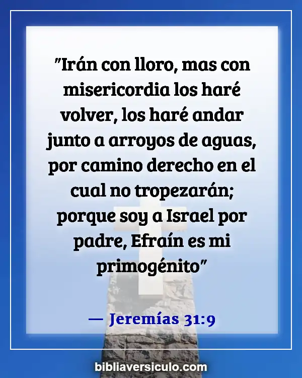 Versículos de la Biblia Sobre Dolor y tristeza (Jeremías 31:9)
