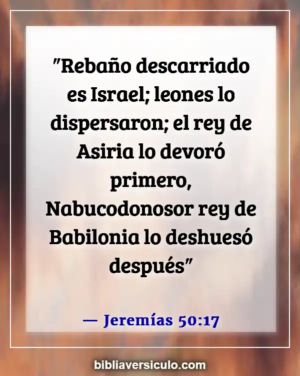 Versículos de la Biblia Sobre Asiria (Jeremías 50:17)