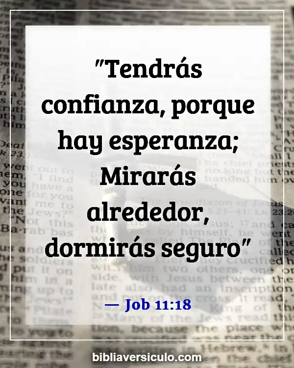 Versículos de la Biblia Sobre Esperanza (Job 11:18)