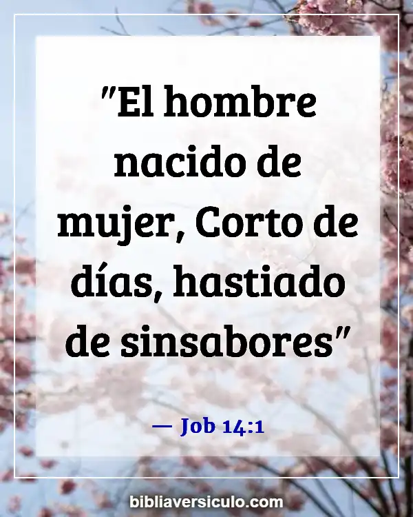 Versículos de la Biblia Sobre Cosas malas que le pasan a la gente buena (Job 14:1)