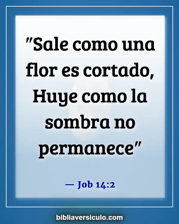 Versículos de la Biblia Sobre Flor de Sharon (Job 14:2)