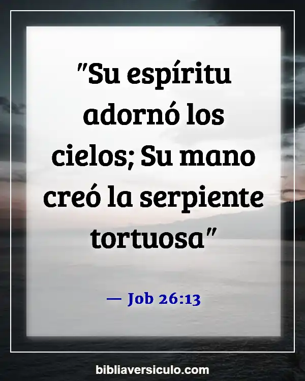 Versículos de la Biblia Sobre Estrellas (Job 26:13)