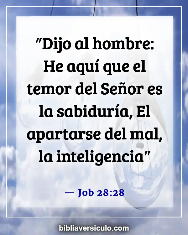 Versículos de la Biblia Sobre Buscando sabiduría (Job 28:28)