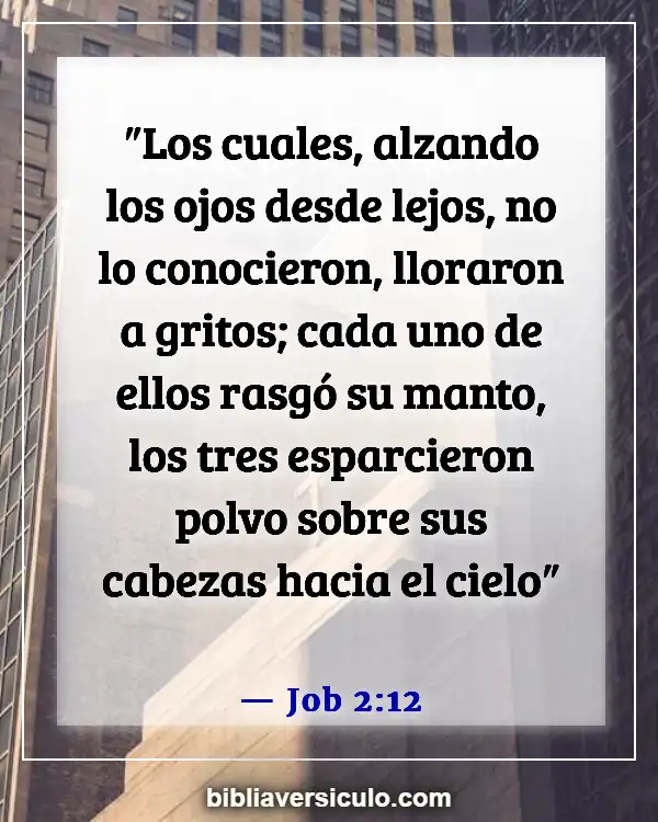 Versículos de la Biblia Sobre Tentación y fidelidad (Job 2:12)