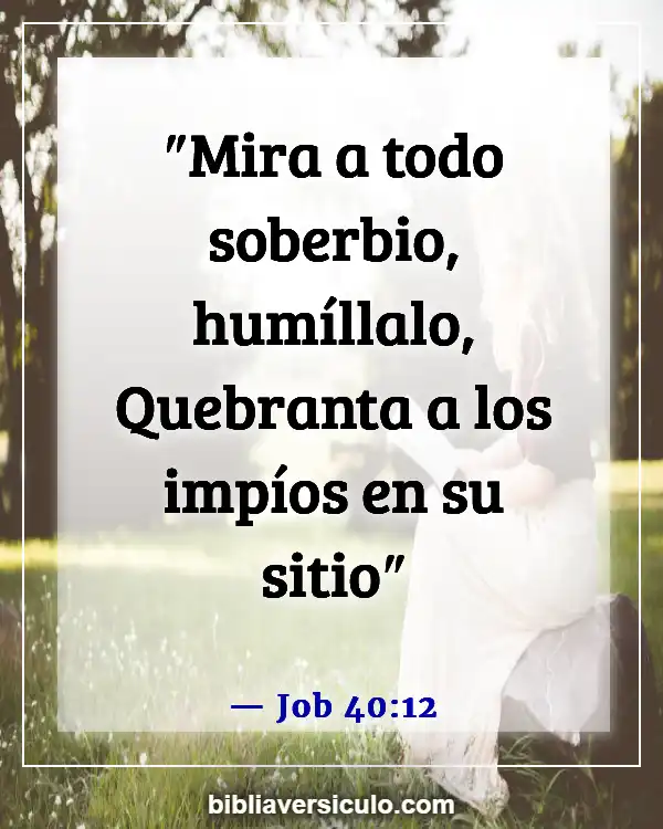 Versículos de la Biblia Sobre Arrogancia (Job 40:12)