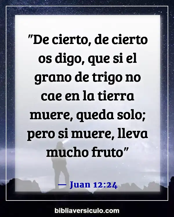 Versículos de la Biblia Sobre Caer (Juan 12:24)