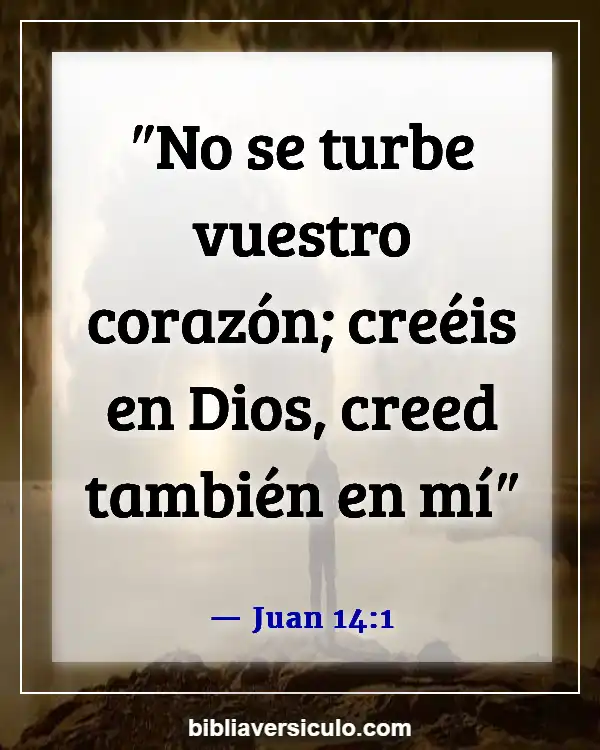 Versículos de la Biblia Sobre Seres queridos fallecidos (Juan 14:1)