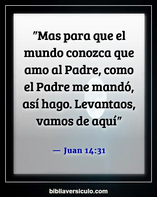 Versículos de la Biblia Sobre Padre de todas las mentiras (Juan 14:31)