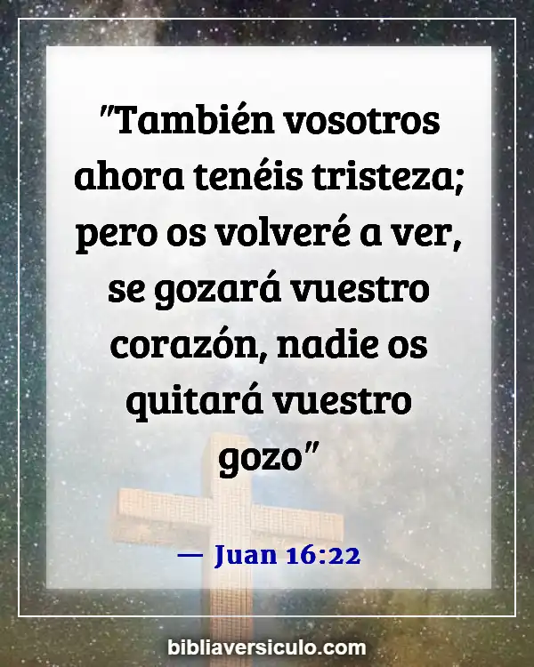 Versículos de la Biblia Sobre Seres queridos fallecidos (Juan 16:22)