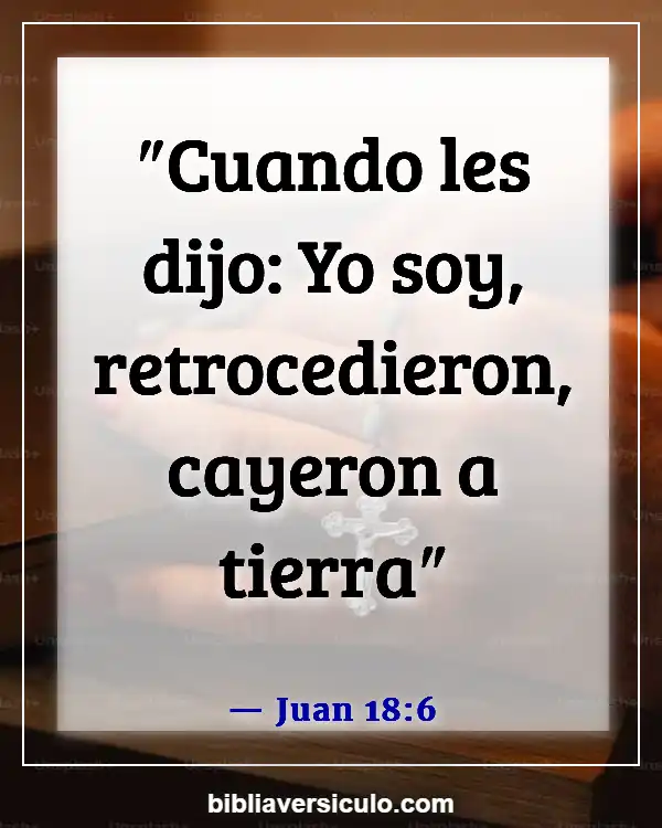 Versículos de la Biblia Sobre Getsemaní (Juan 18:6)